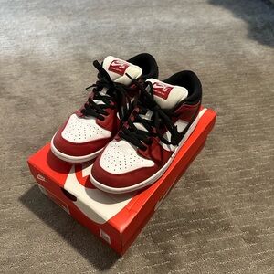 Nike SB Dunk Low Pro